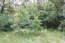 12 Flagg Hl, Erving, MA 01344