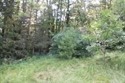 12 Flagg Hl, Erving, MA 01344