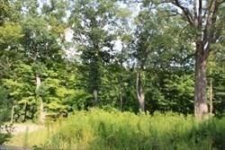 12 Flagg Hl, Erving, MA 01344