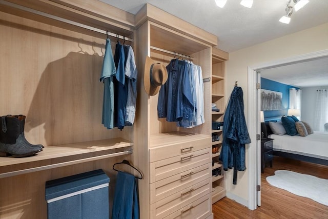 spacious closet with wood finished floors