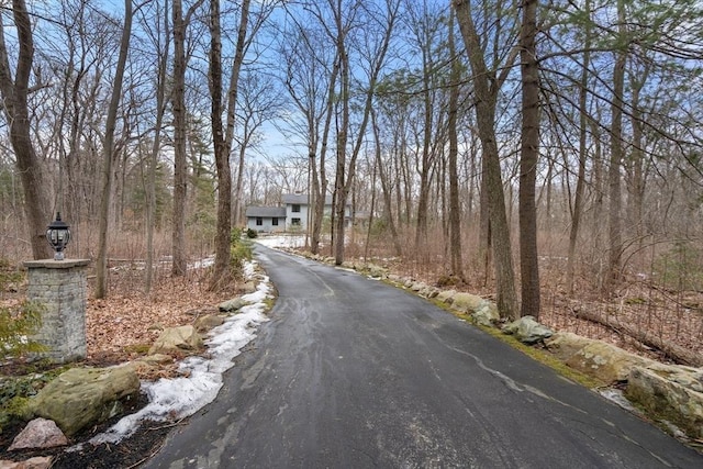 view of street featuring aphalt driveway