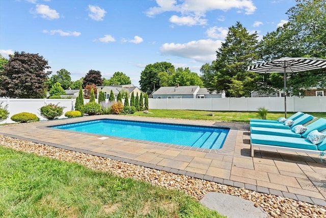 view of swimming pool featuring a patio area