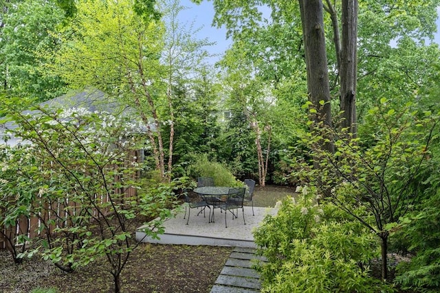 view of yard with a patio
