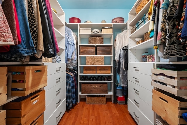 spacious closet with light hardwood / wood-style flooring