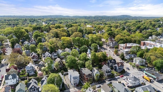 117 Sycamore St Unit 1, Boston, MA 02131 - aerial view of property's location featuring a heavily wooded area and nearby suburban area