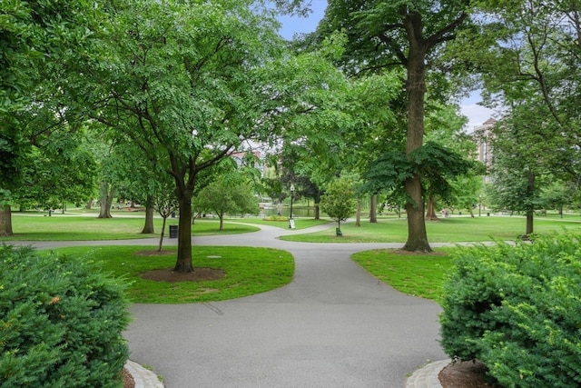 view of community with a yard