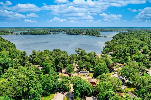 25 12th Ave, Halifax, MA 02338 - drone / aerial view of a large body of water and a forest