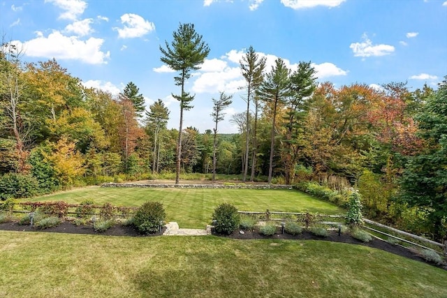 124 Osgood Rd, Charlton, MA 01507 - view of yard with a forest view