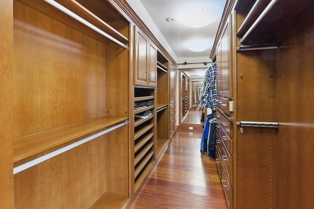 58 Bridle Path, Tewksbury, MA 01876 - spacious closet featuring dark wood-style flooring