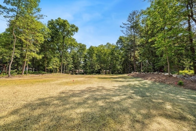 108 S St, Reading, MA 01867 - view of yard with a forest view