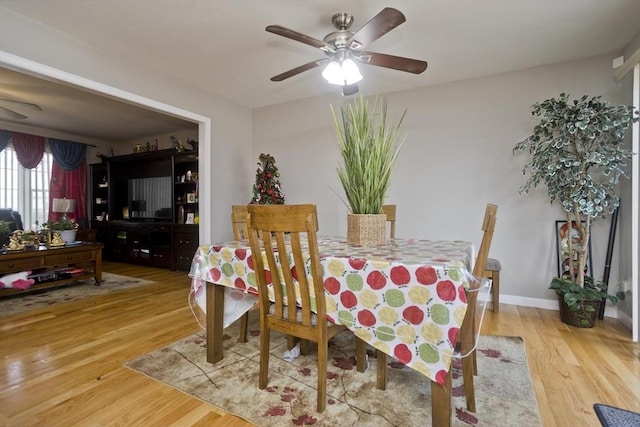 dining room with light hardwood / wood-style floors and ceiling fan