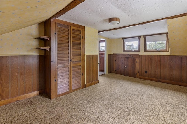 38 Lakeshore Dr, Wayland, MA 01778 - below grade area with wooden walls, wainscoting, a textured ceiling, and carpet