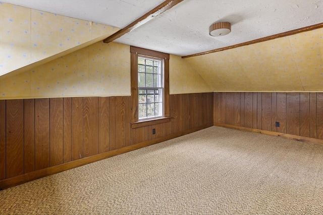 38 Lakeshore Dr, Wayland, MA 01778 - bonus room with lofted ceiling, wood walls, carpet, and wainscoting