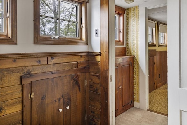 38 Lakeshore Dr, Wayland, MA 01778 - detailed view of carpet