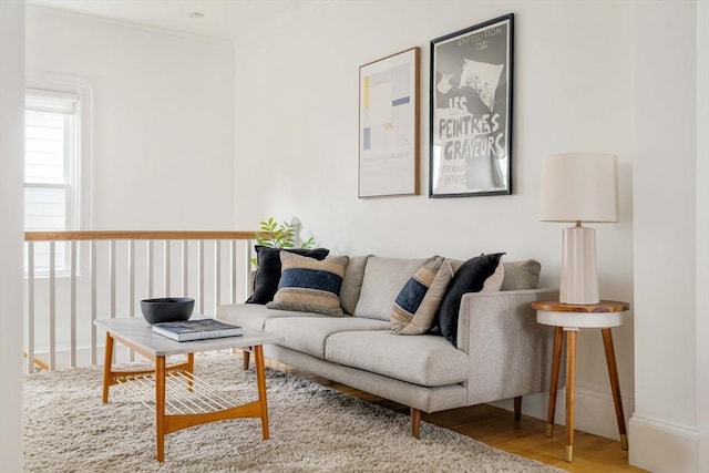 23 Hall Ave Unit 1, Somerville, MA 02144 - living area featuring wood finished floors, crown molding, and baseboards