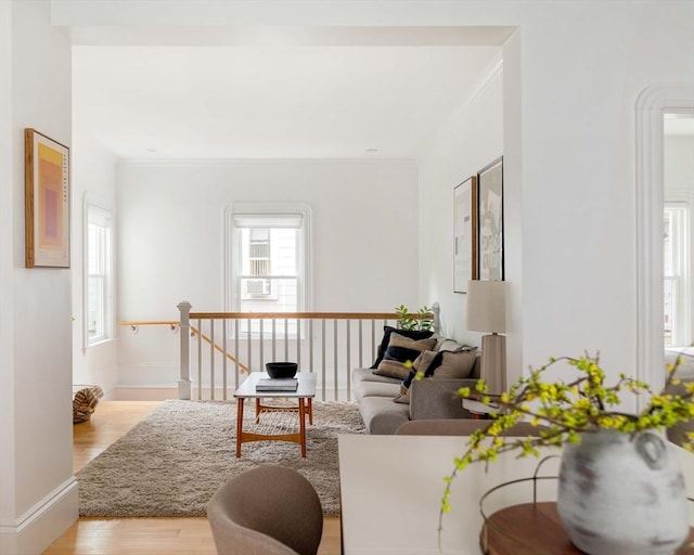 23 Hall Ave Unit 1, Somerville, MA 02144 - living room with plenty of natural light, light wood finished floors, baseboards, and ornamental molding