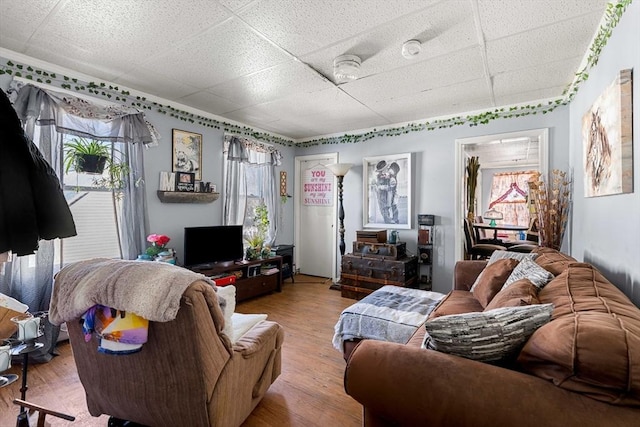 living room featuring a paneled ceiling and light wood-style flooring