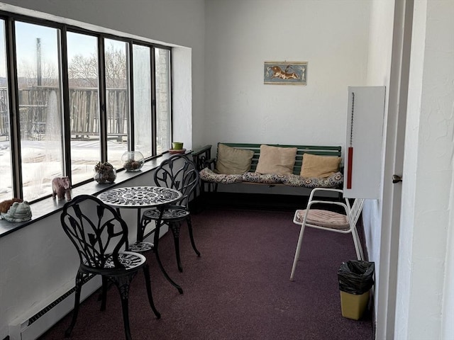 interior space featuring carpet and a baseboard radiator