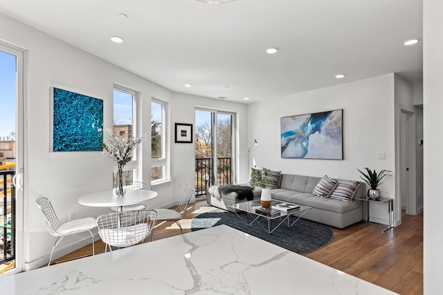 living room featuring hardwood / wood-style floors