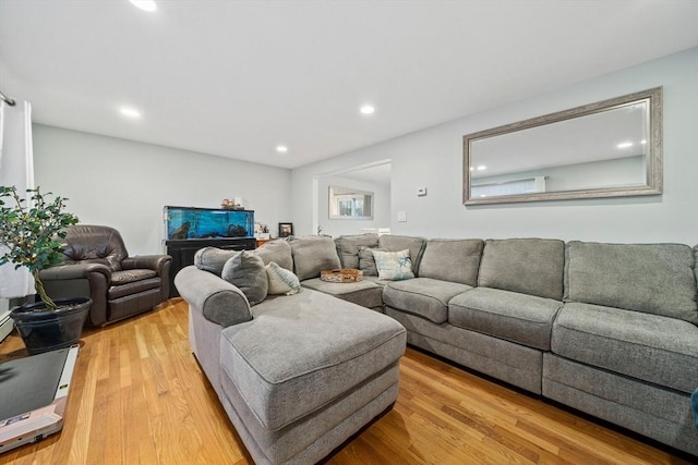 living room with light wood-type flooring