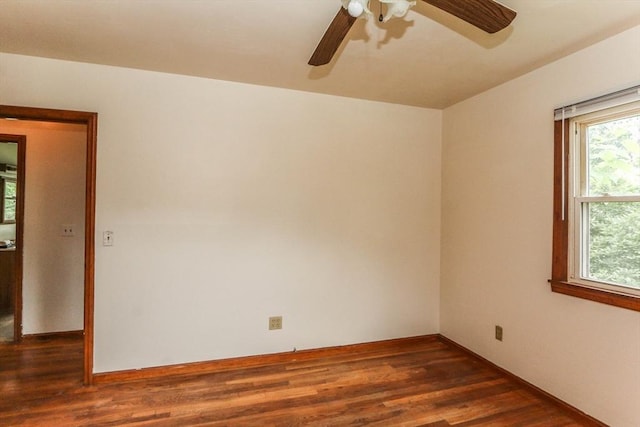109 Bacon Rd, Springfield, MA 01119 - empty room featuring ceiling fan, plenty of natural light, and dark wood-type flooring