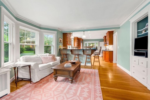 9 Palmer Rd, Marblehead, MA 01945 - living room featuring crown molding, baseboards, light wood finished floors, and radiator heating unit