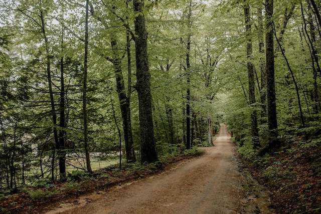 251 Butterworth Rd, Barre, MA 01005 - view of dirt / gravel road featuring a wooded view