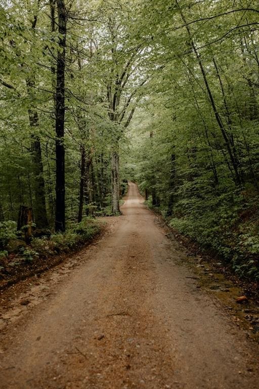 251 Butterworth Rd, Barre, MA 01005 - view of street featuring a forest view