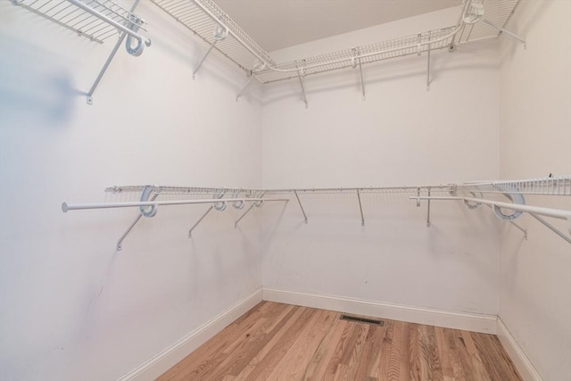 spacious closet with light wood-type flooring