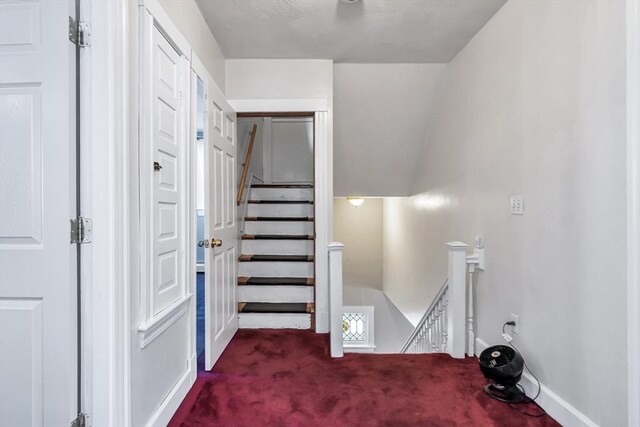 16 Pacific St, Lynn, MA 01902 - stairs featuring carpet flooring