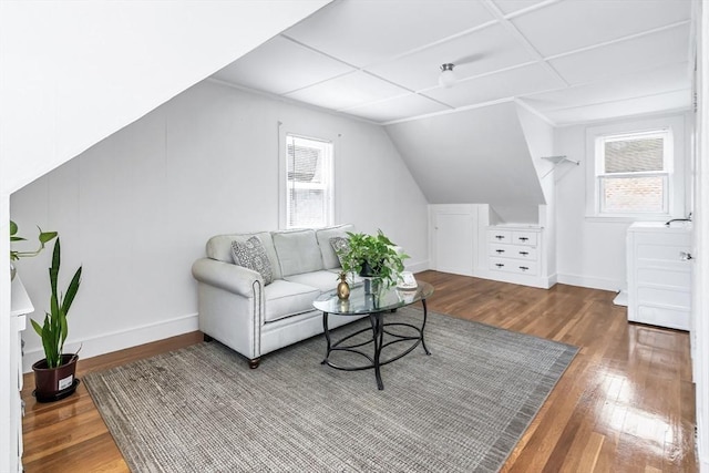 16 Pacific St, Lynn, MA 01902 - living room featuring wood finished floors and vaulted ceiling