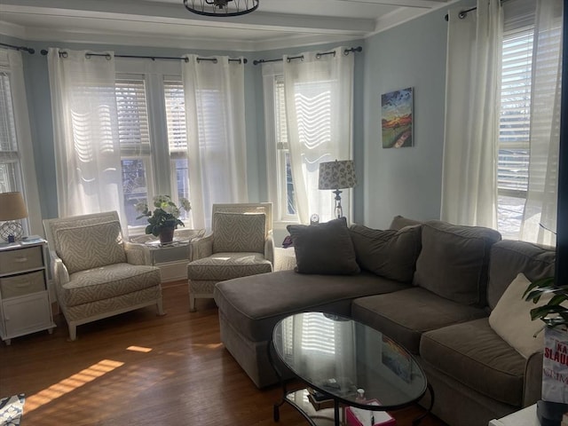 living area with wood finished floors