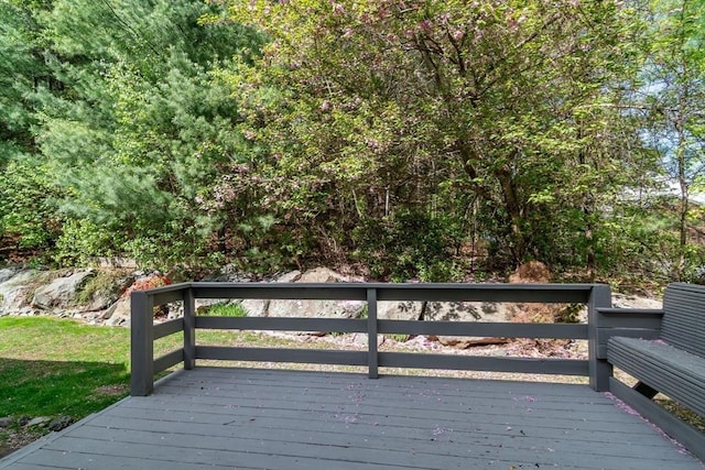 5 Warner Way, Canton, MA 02021 - view of wooden deck