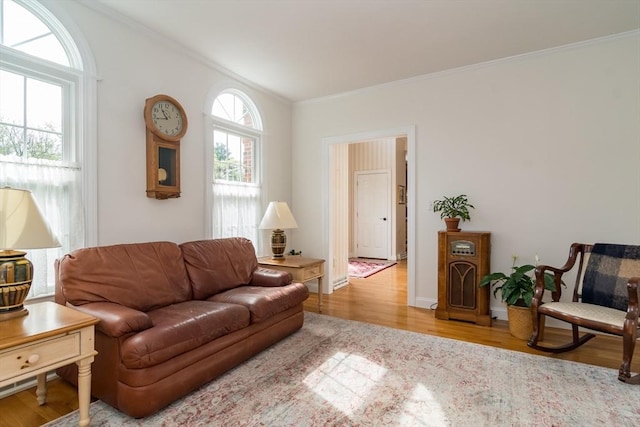5 Warner Way, Canton, MA 02021 - living room with crown molding, wood finished floors, and baseboards