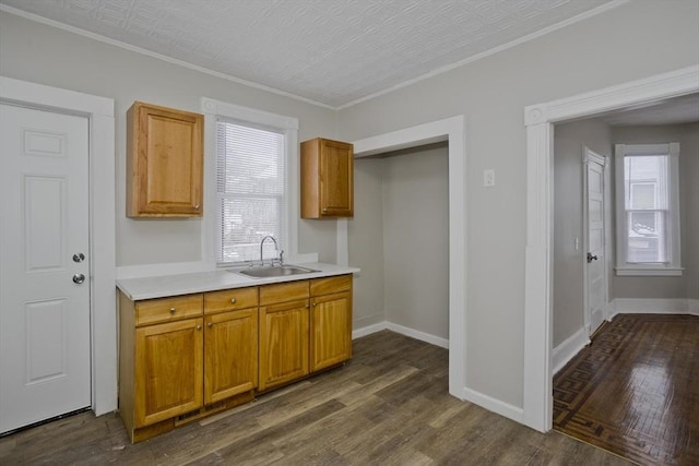 kitchen with crown molding, sink, and dark hardwood / wood-style flooring