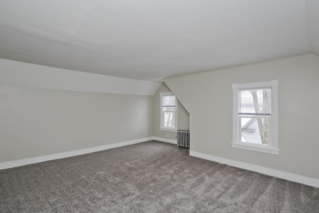 additional living space featuring carpet, radiator, and lofted ceiling