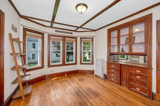 89 Merrill Ave, Lowell, MA 01850 - unfurnished office featuring radiator, light wood-style floors, baseboards, and crown molding