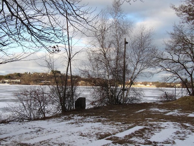 view of snowy yard