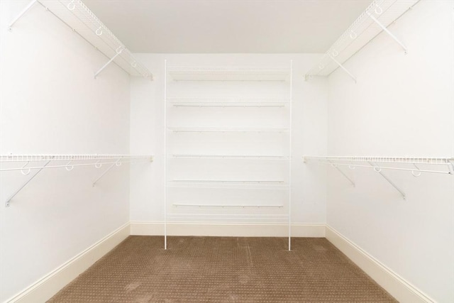 50 Brookview Rd Unit 50, Franklin, MA 02038 - walk in closet featuring carpet floors
