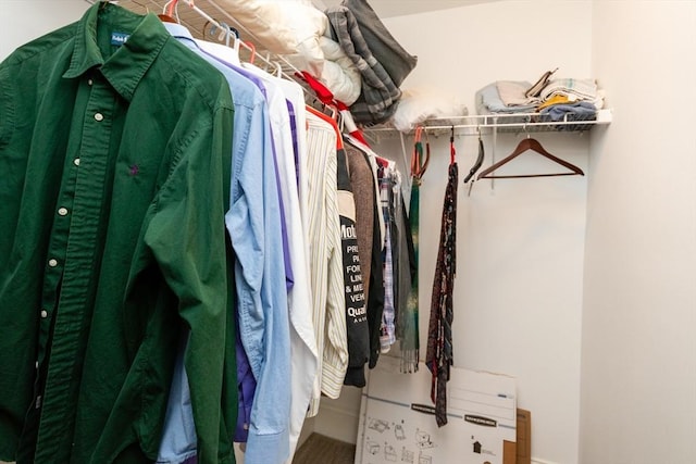 50 Brookview Rd Unit 50, Franklin, MA 02038 - view of walk in closet