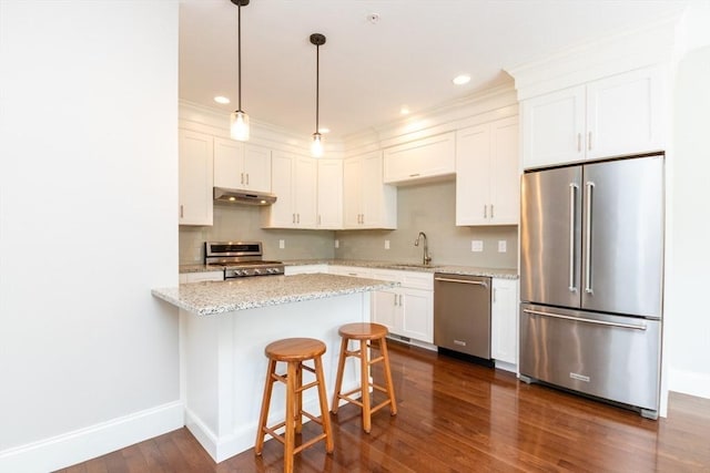 50 Brookview Rd Unit 50, Franklin, MA 02038 - kitchen featuring stainless steel appliances, under cabinet range hood, dark wood-type flooring, decorative backsplash, and white cabinets