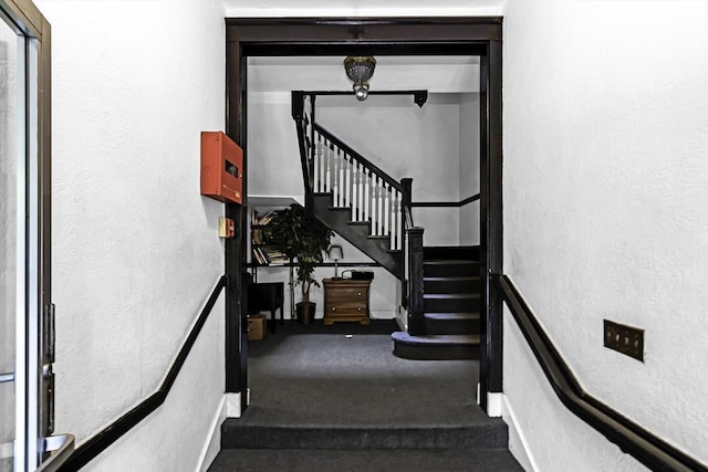 108 Washington St Unit 3, Boston, MA 02135 - stairs featuring carpet and a textured wall