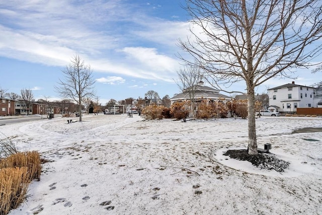 view of yard covered in snow