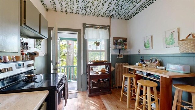 48 Summer St, Adams, MA 01220 - kitchen with stainless steel electric range, radiator heating unit, light wood-style flooring, light countertops, and a wainscoted wall