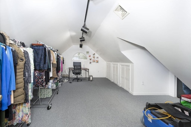 20 Albee Dr, Braintree, MA 02184 - spacious closet with vaulted ceiling and carpet