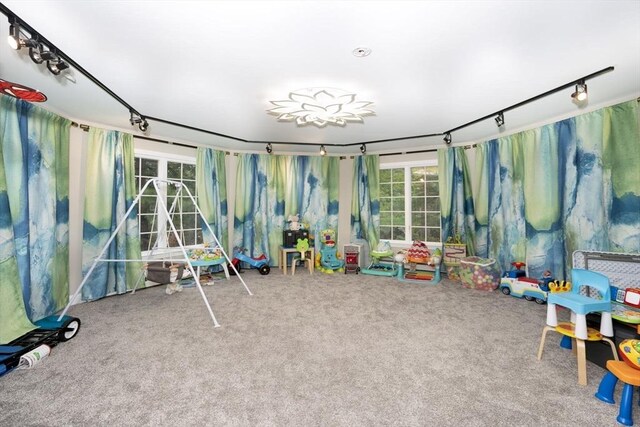 20 Albee Dr, Braintree, MA 02184 - game room with carpet flooring and track lighting