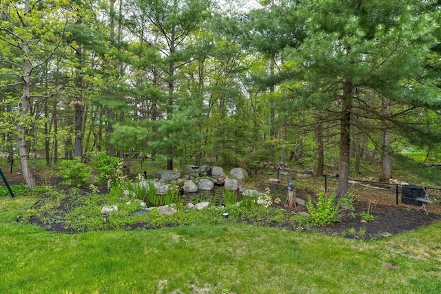 20 Albee Dr, Braintree, MA 02184 - view of yard with fence