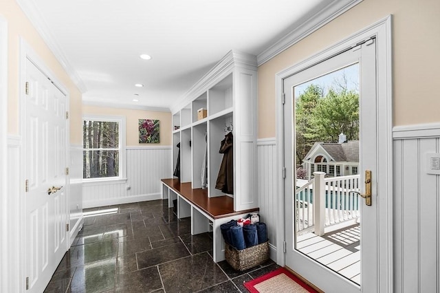 mudroom with ornamental molding and a wealth of natural light