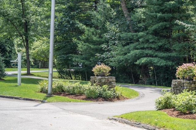 view of home's community featuring a yard