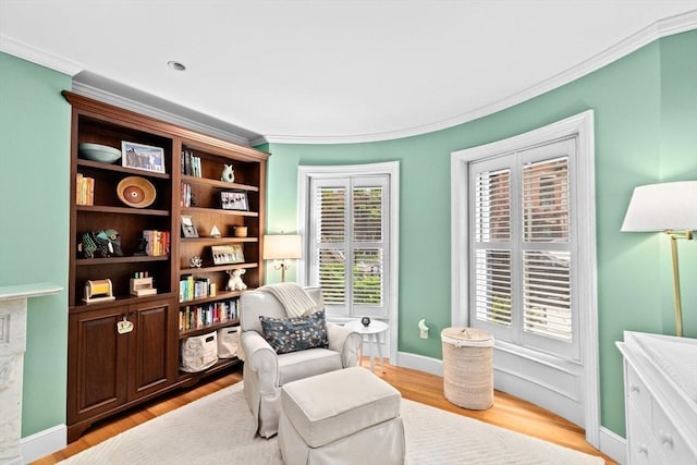 12 Braddock Park Unit 1, Boston, MA 02116 - living area featuring crown molding, light wood-type flooring, and baseboards